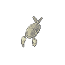 Mystic Anorith (Fossil)